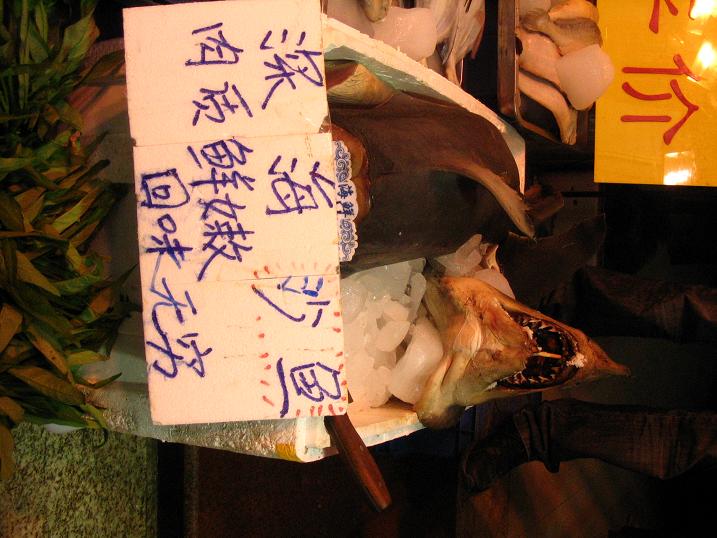 天津之行 (140).JPG