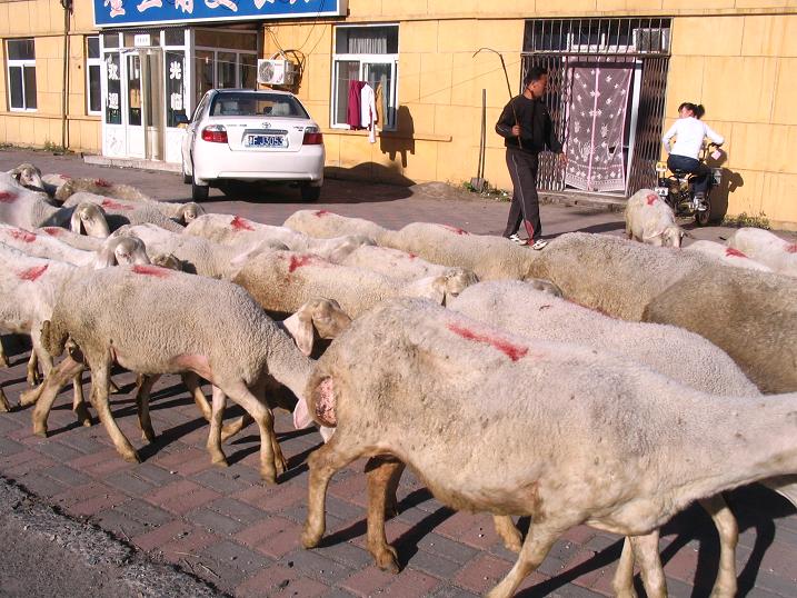 天津之行 (219).JPG