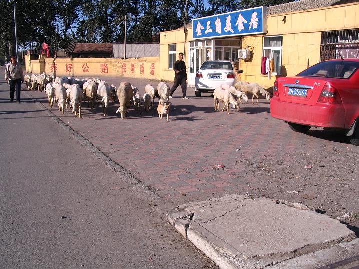 天津之行 (217).JPG