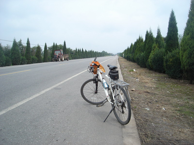 平整、宽阔的岐山大道