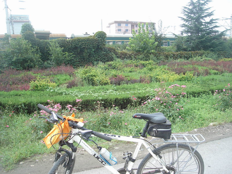 铁道边上上的绿化美化