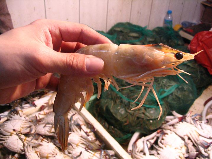 天津之行 (106).JPG