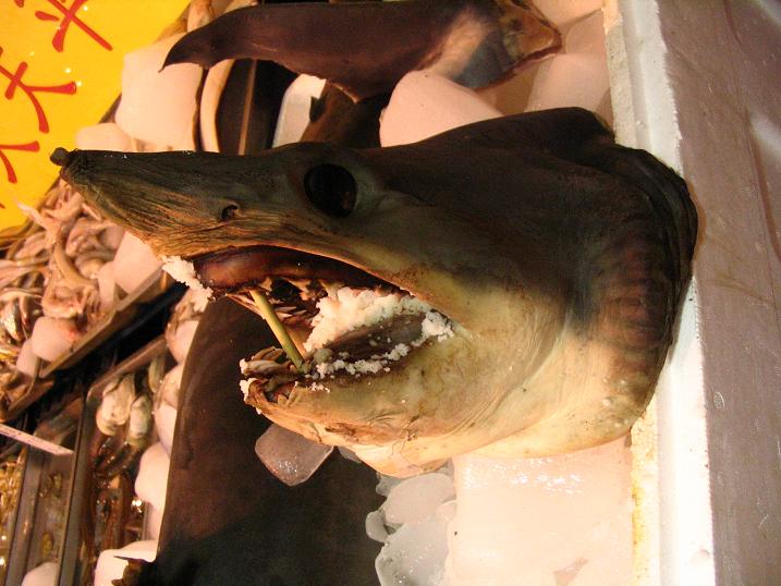 天津之行 (141).JPG