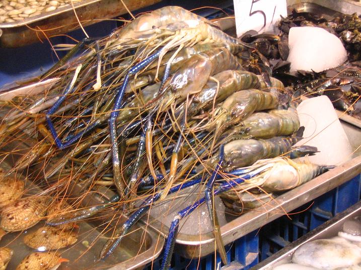 天津之行 (136).JPG