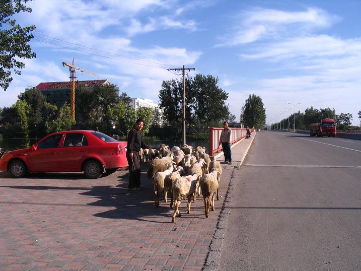 天津之行 (222).JPG