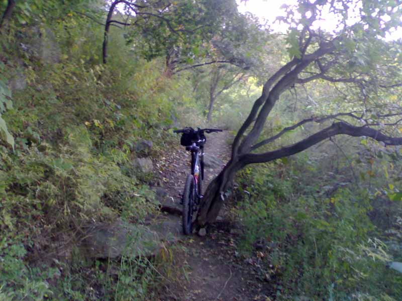 这种路段多。必须山地车