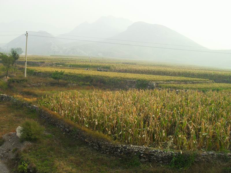 调整大小 SDC10748.JPG