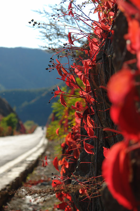 遇的40后说：只要有阳光，我们就会返老还童