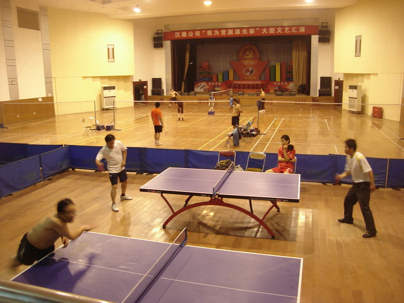 乒乓球、羽毛球活动中心