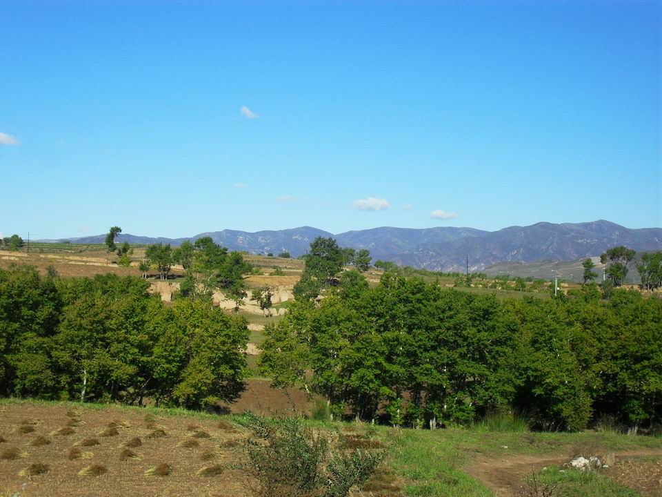 调整大小 SDC10862.JPG