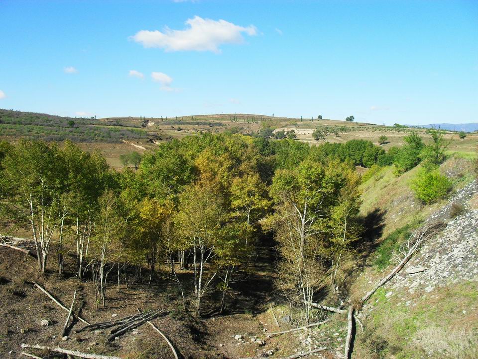 调整大小 SDC10865.JPG