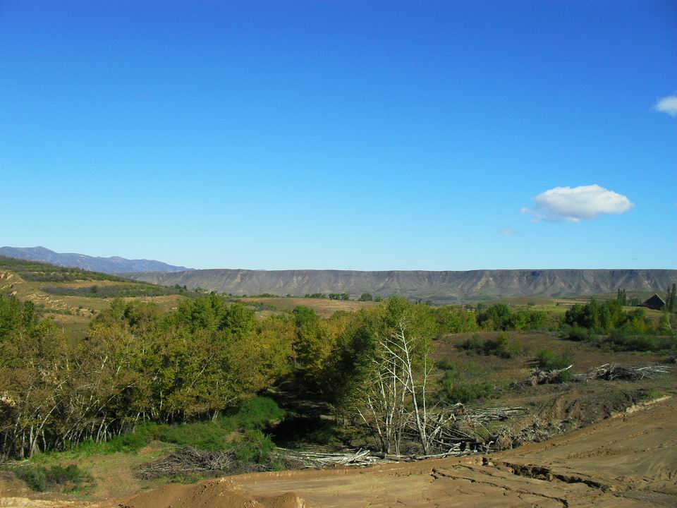 调整大小 SDC10869.JPG