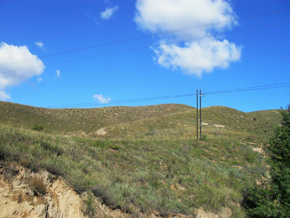 调整大小 SDC10875.JPG