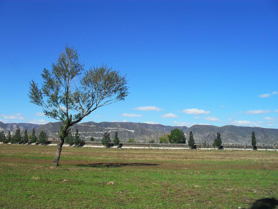 调整大小 SDC10892.JPG