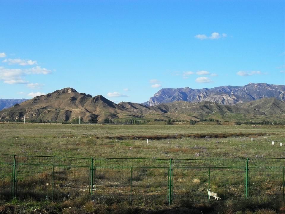 调整大小 SDC10913.JPG