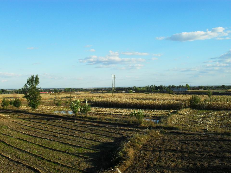 调整大小 SDC10917.JPG