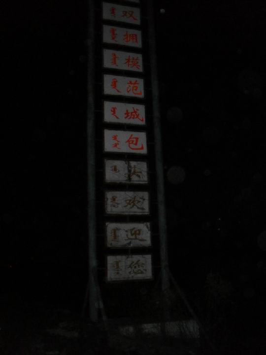 调整大小 旋转 SDC10931.JPG