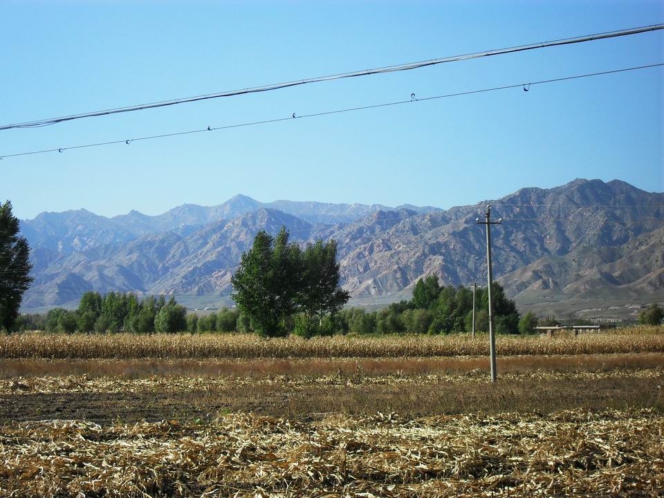 调整大小 SDC10965.JPG