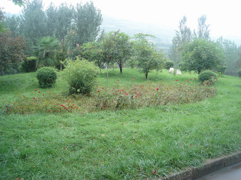 厂内的绿化美化