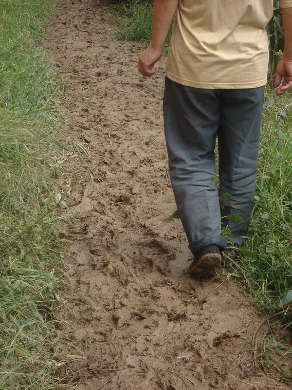 雨后泥泞的山道