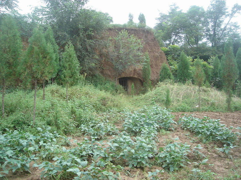 塬上废弃的老窑洞