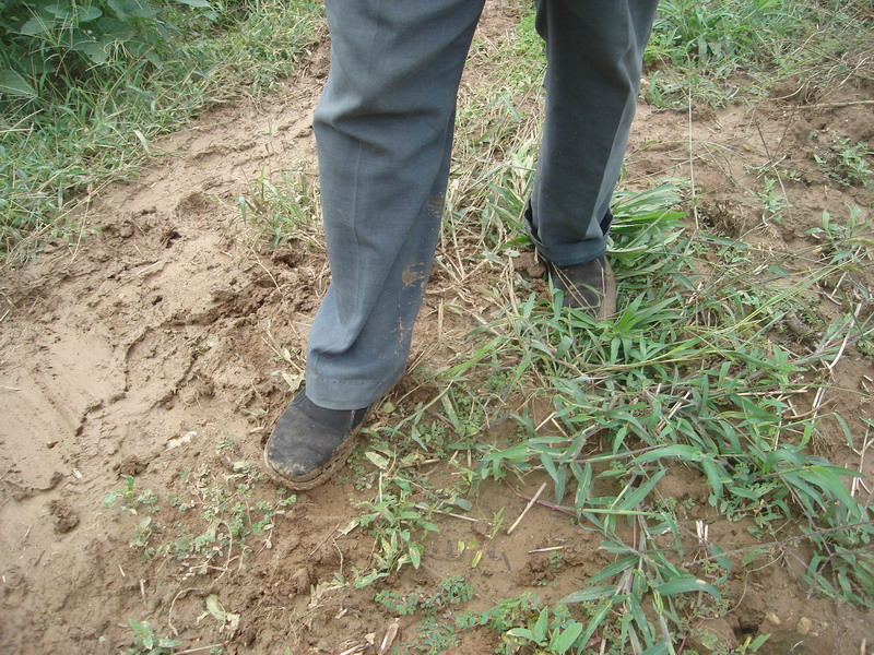 裤子、两只鞋都是泥