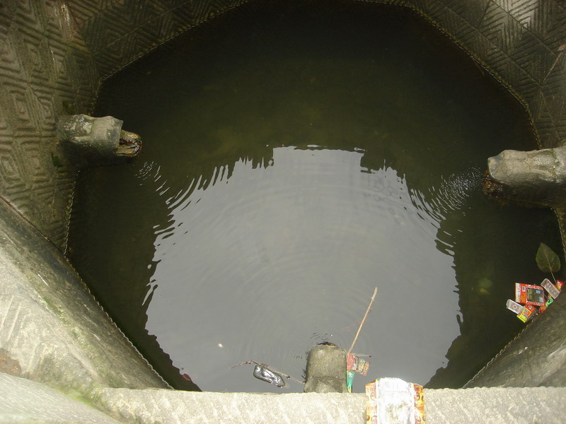 到哪儿都有不道德的游客