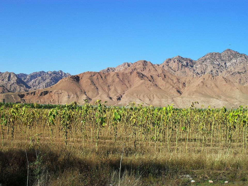 调整大小 SDC10988.JPG