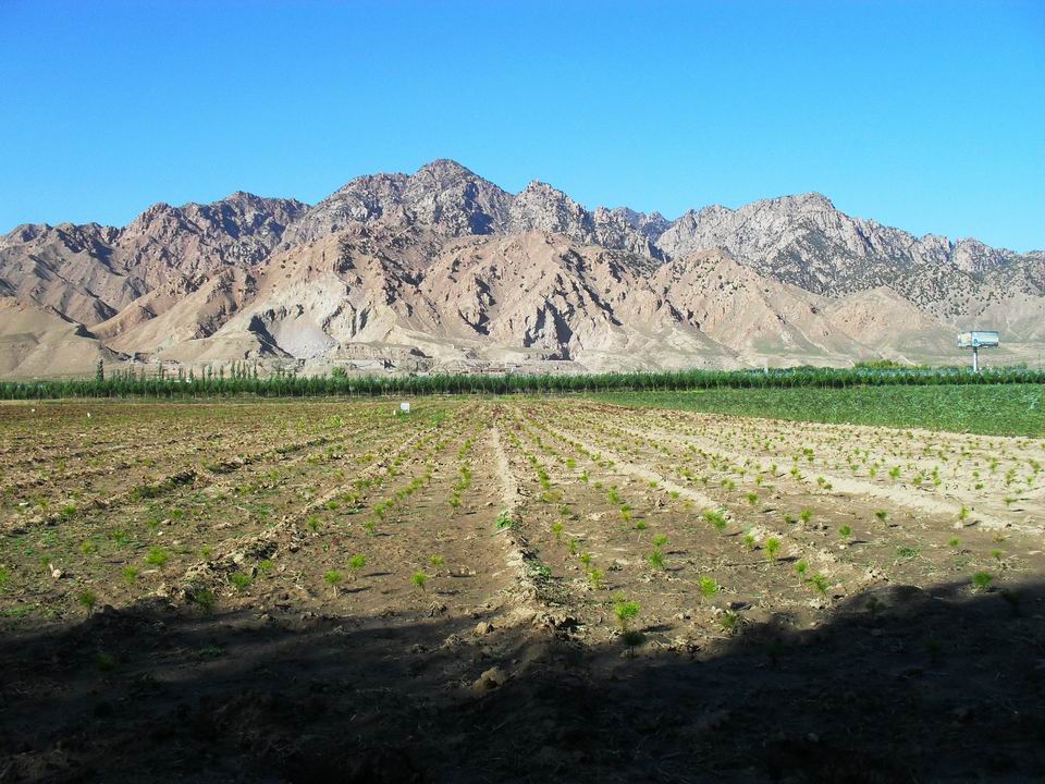 调整大小 SDC10984.JPG