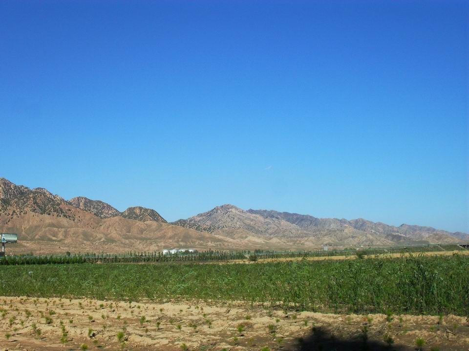 调整大小 SDC10985.JPG