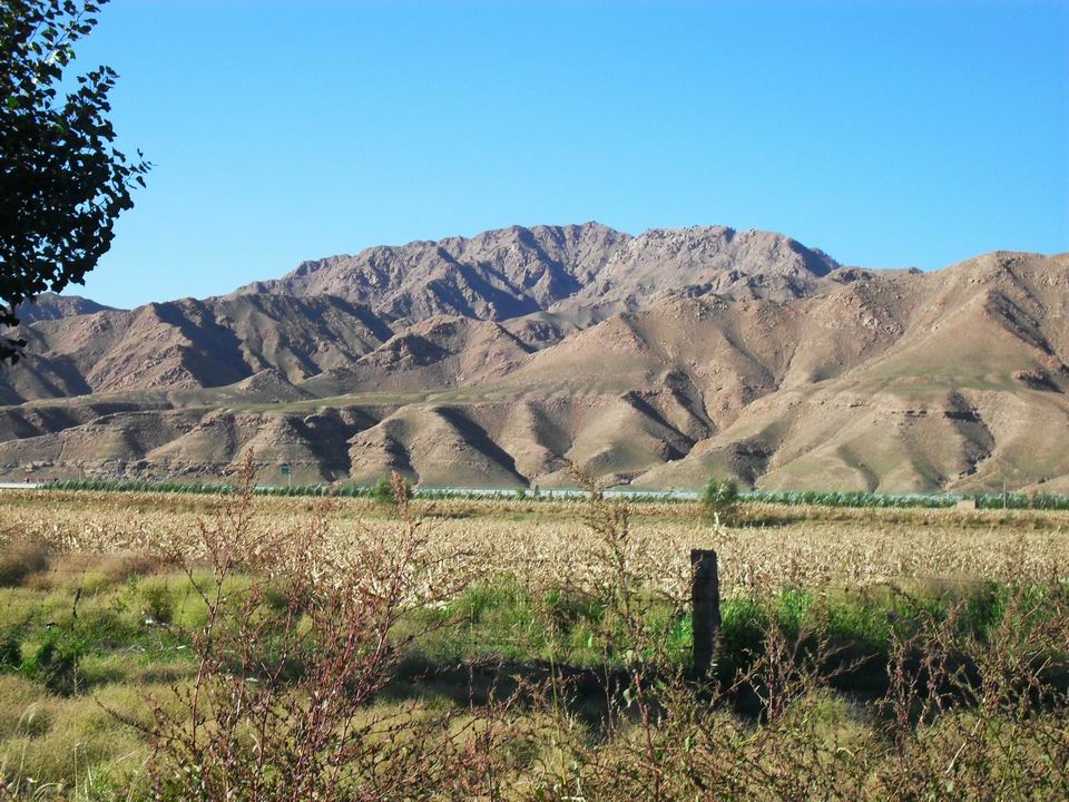 调整大小 SDC11000.JPG