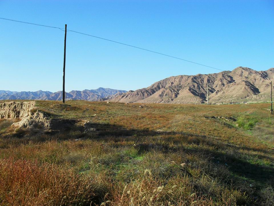 调整大小 SDC11004.JPG