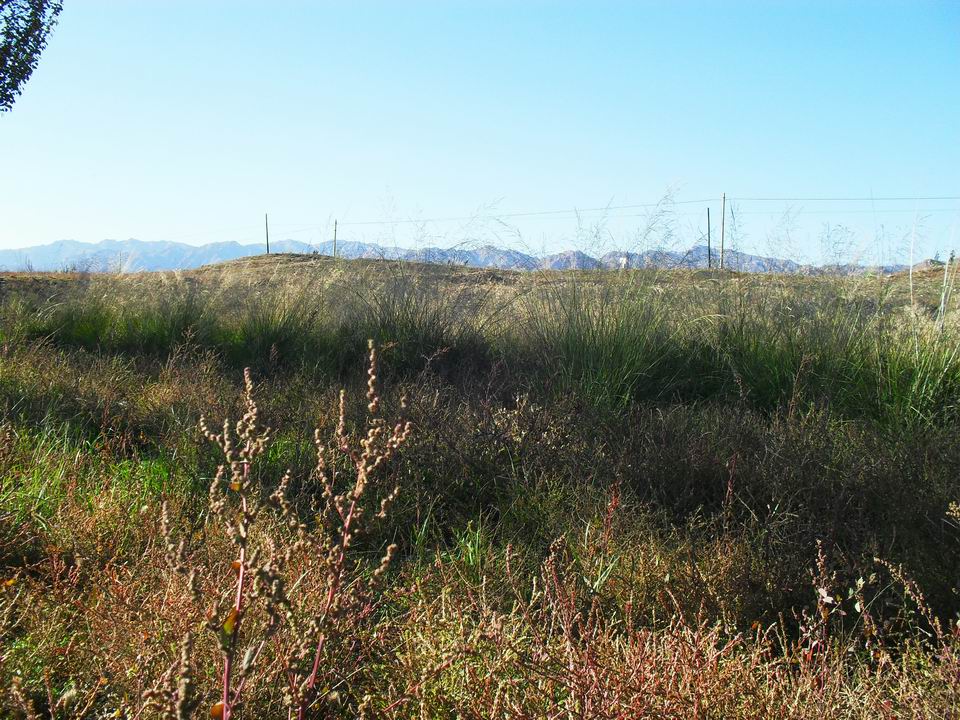 调整大小 SDC11011.JPG