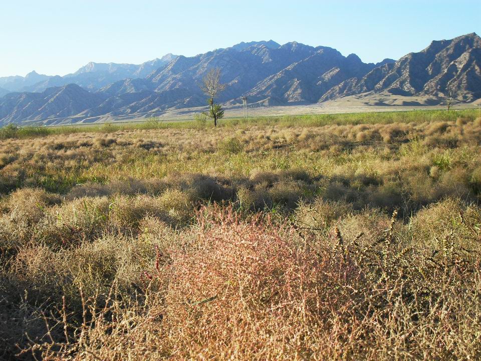 调整大小 SDC11032.JPG