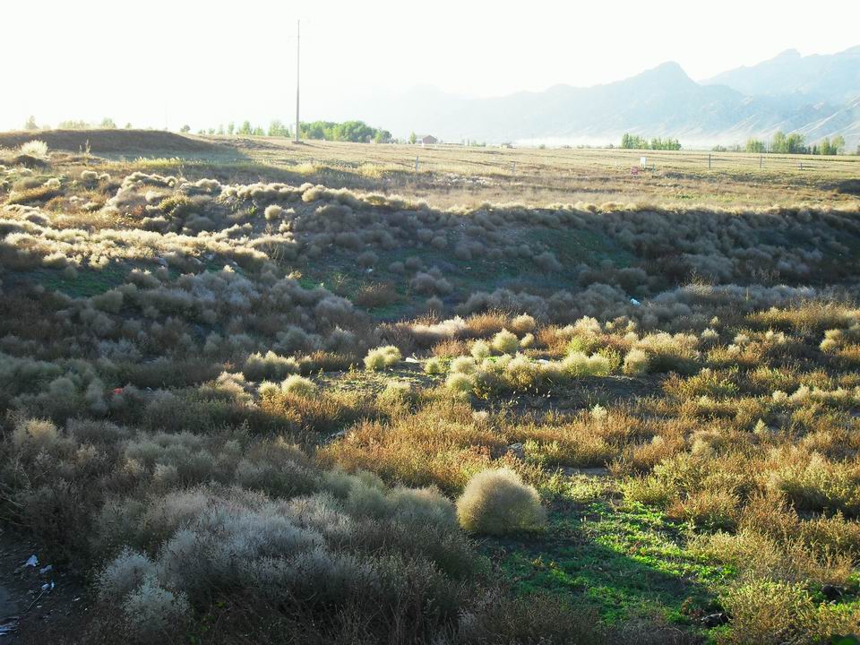 调整大小 SDC11080.JPG