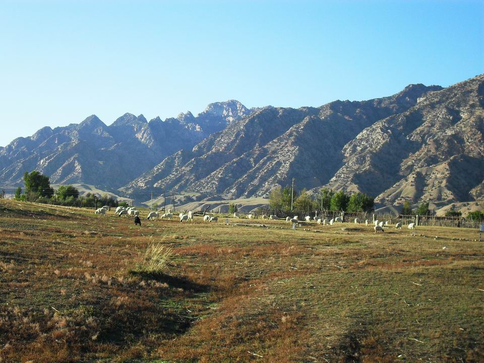 调整大小 SDC11024.JPG