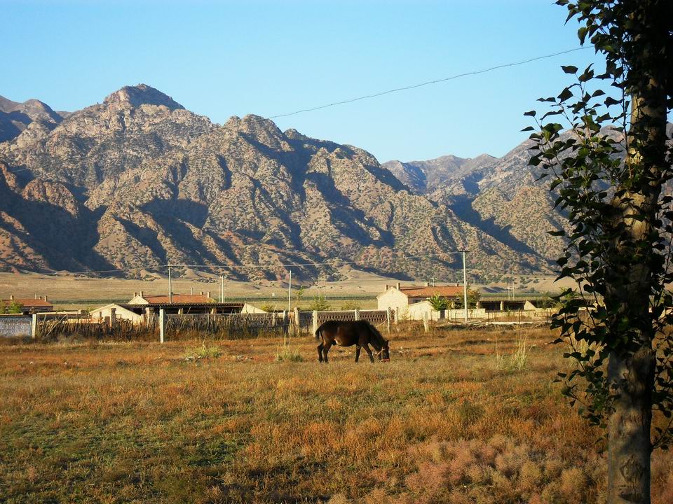 调整大小 SDC11073.JPG