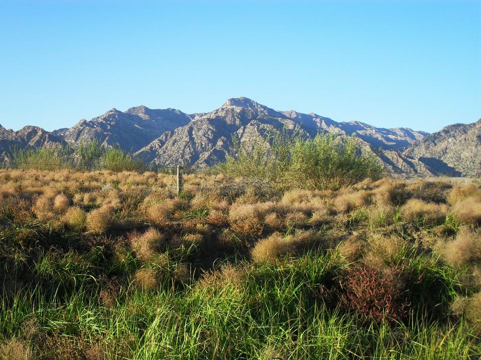 调整大小 SDC11038.JPG