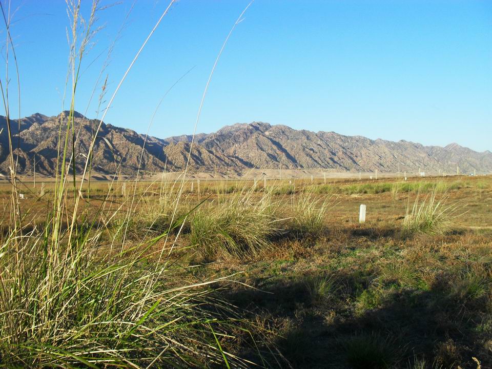 调整大小 SDC11046.JPG