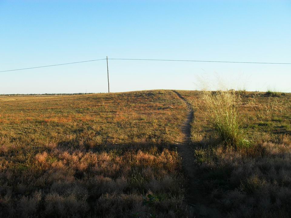 调整大小 SDC11059.JPG