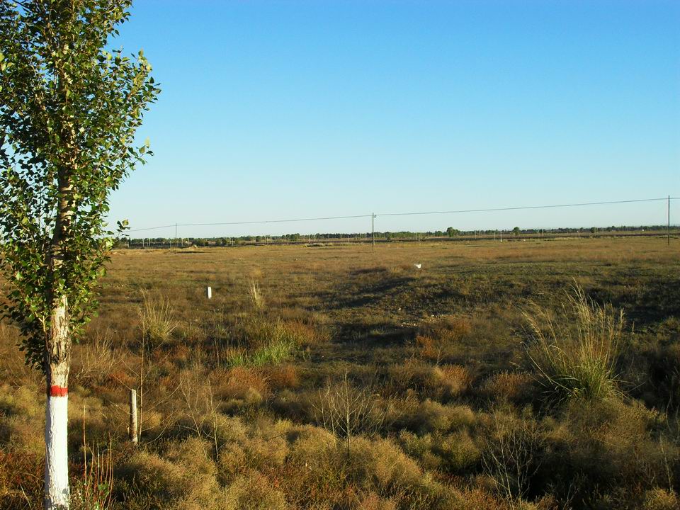 调整大小 SDC11055.JPG