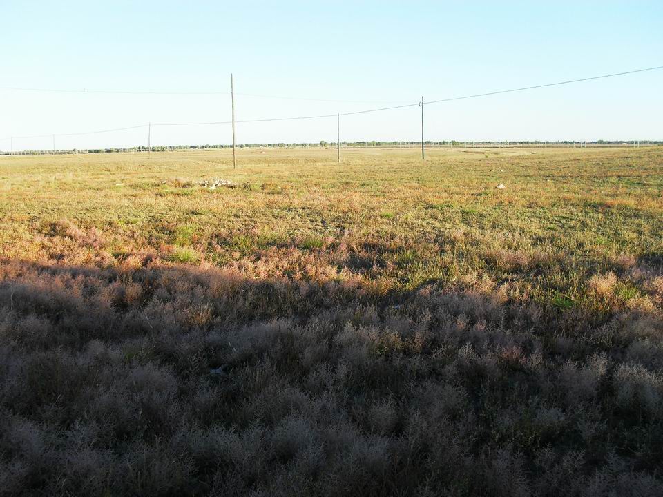 调整大小 SDC11058.JPG