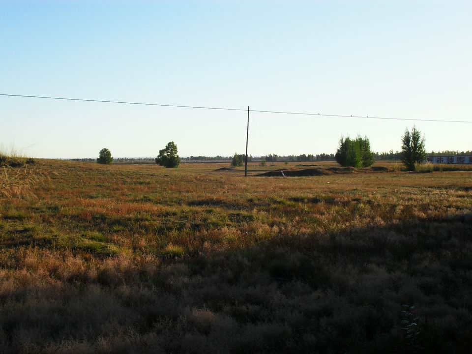 调整大小 SDC11067.JPG