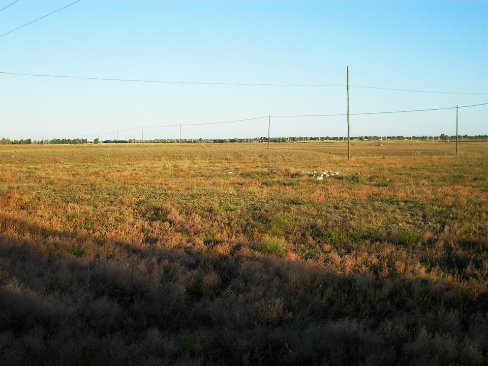 调整大小 SDC11065.JPG