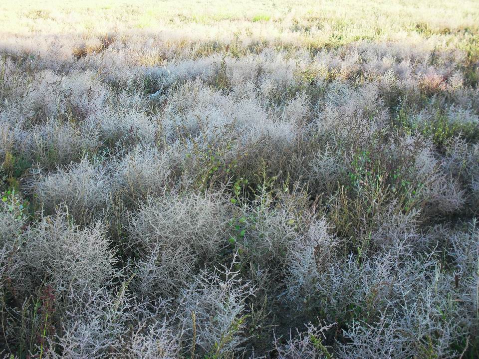 调整大小 SDC11062.JPG