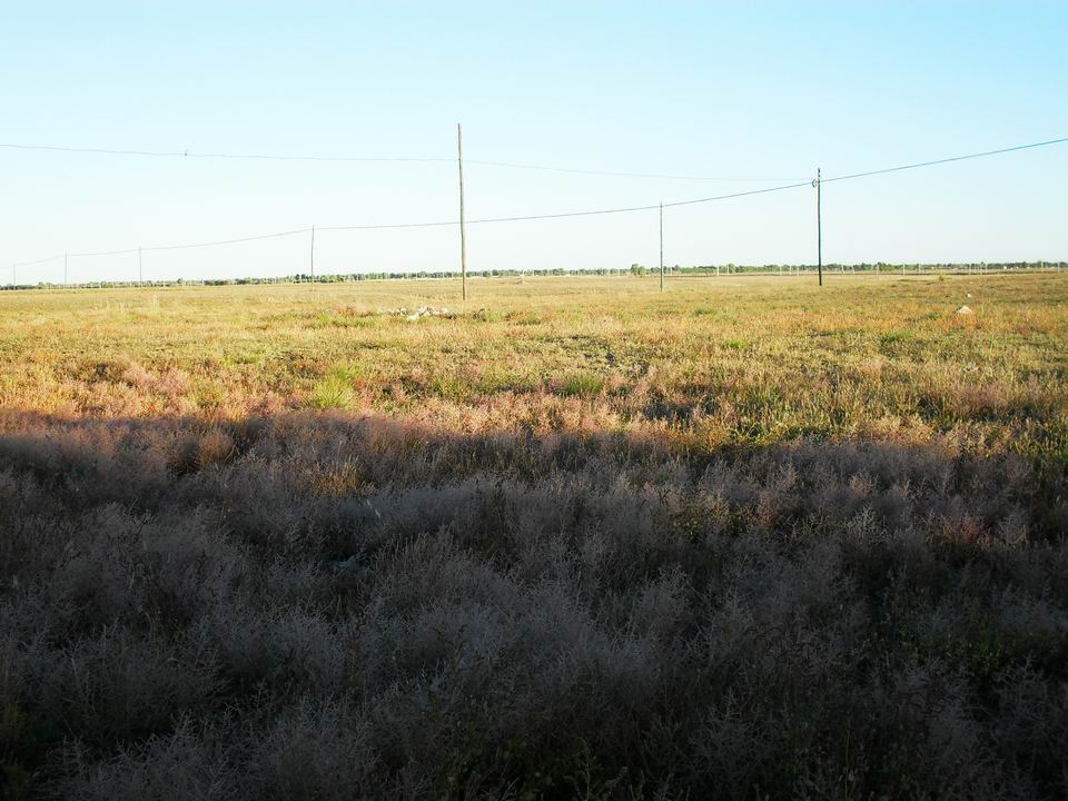 调整大小 SDC11061.JPG