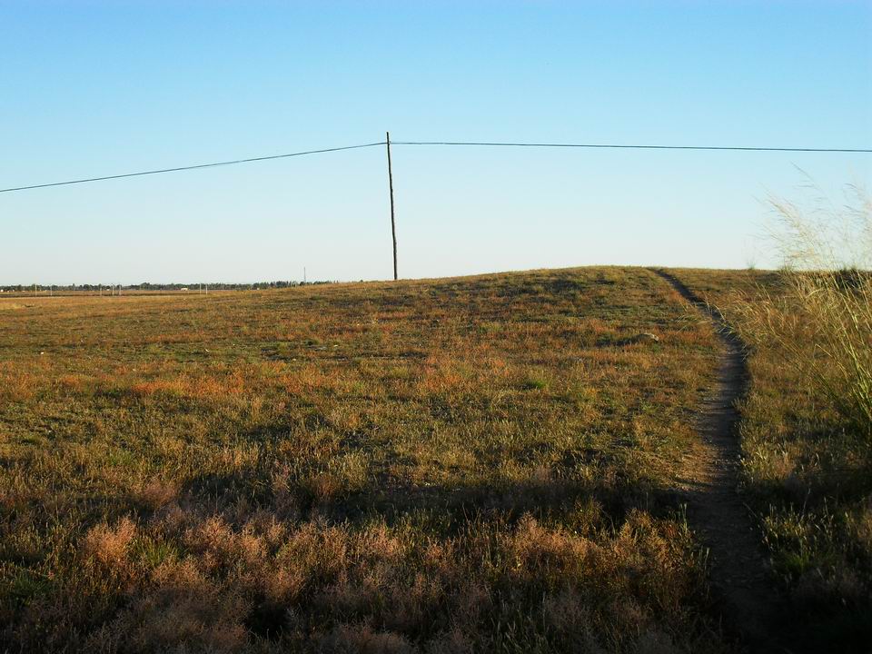 调整大小 SDC11066.JPG