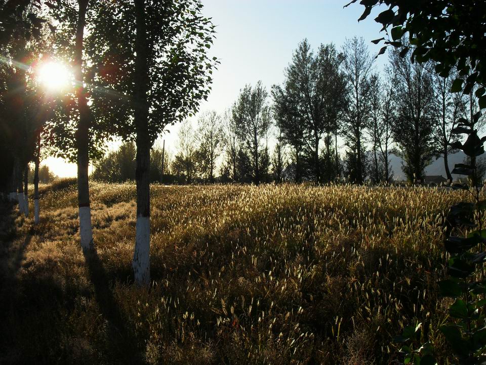 调整大小 SDC11068.JPG