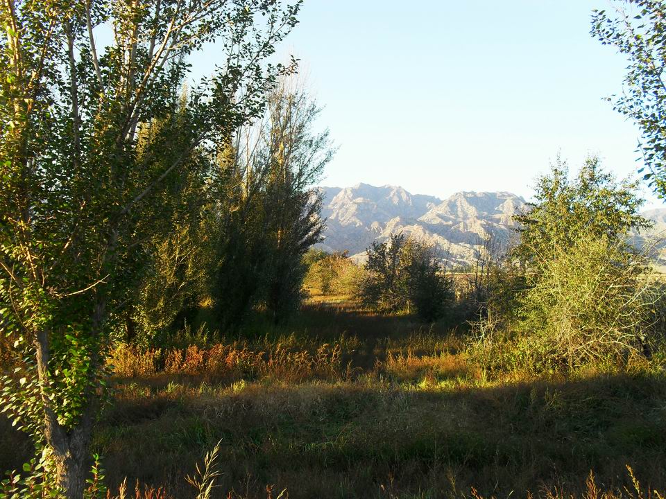 调整大小 SDC11091.JPG