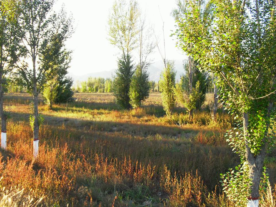 调整大小 SDC11093.JPG